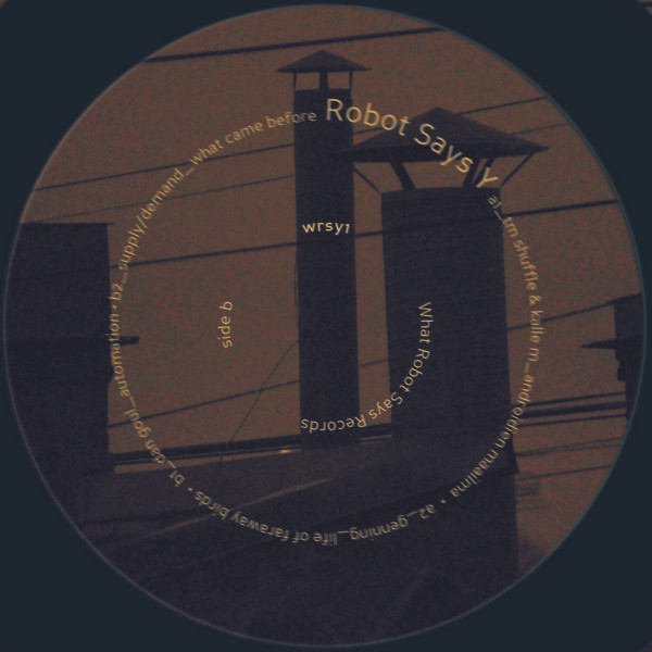 Various - Robot Says Y (12") (Near Mint (NM or M-)) - Image 2