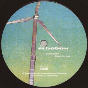 Echobox - Divination (12") (Very Good (VG))