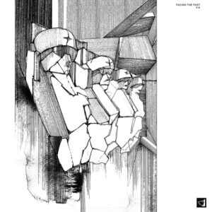 Various - Facing The Past (12") (Very Good Plus (VG+))